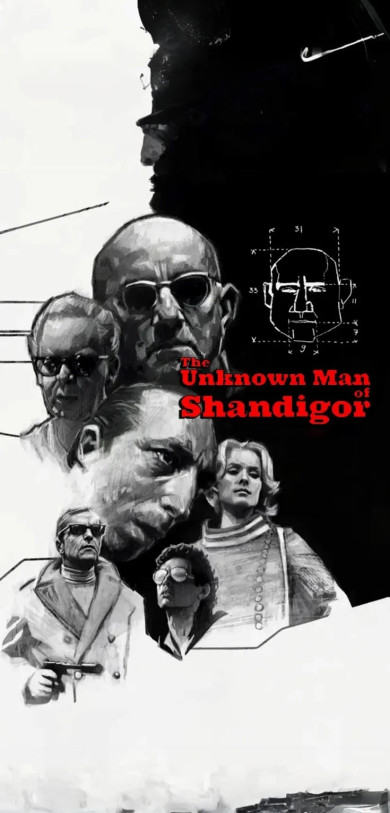 L'INCONNU DE SHANDIGOR