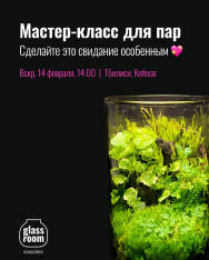 დაუვიწყარი #14თებერვალი glassroom.ecosystems-ის ჯგუფურ მასტერკლასზე — აქციეთ თქვენი პაემანი ნამდვილ მაგიად