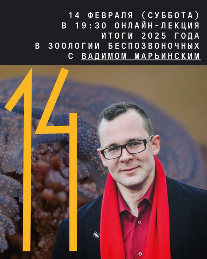 Онлайн-лекция Вадима Марьинского «Итоги 2025 года в зоологии беспозвоночных»
