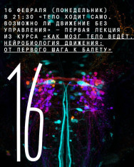 Online lecture by Sergey Lopatin — “The Body Walks by Itself. Is Movement Possible Without Control?”