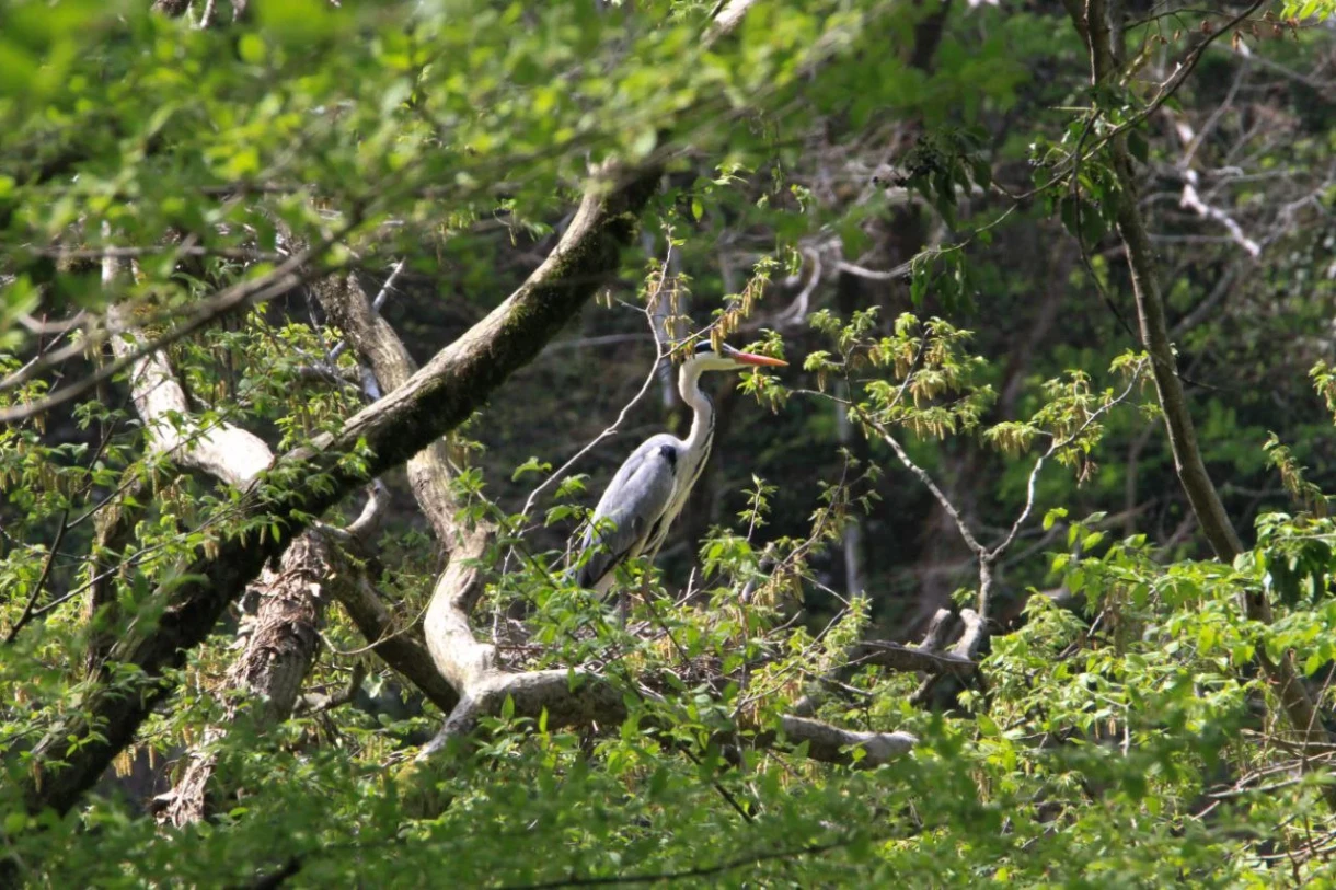 სამეგრელოს ტური Take and Hike