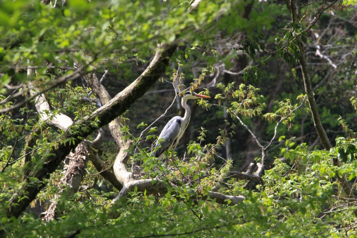 სამეგრელოს ტური Take and Hike