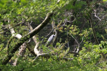 სამეგრელოს ტური Take and Hike