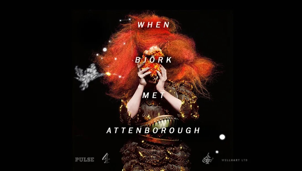 WHEN BJÖRK MET ATTENBOROUGH