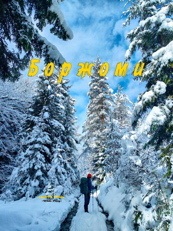 ჰაიკი: ბორჯომი | GeorgiaFinder