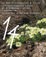 “From Turtle Lake to Mtatsminda. Spring with a Biologist” — Excursion & Easy Hiking