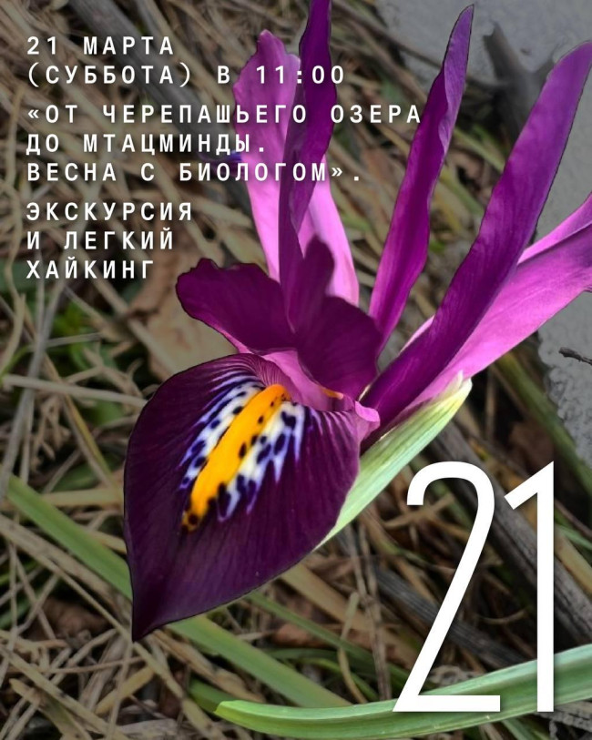 «От Черепашьего озера до Мтацминды. Весна с биологом». Экскурсия и легкий хайкинг