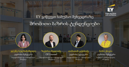 სამუშაო შეხვედრა - შრომითი ბაზრის ტენდენციები