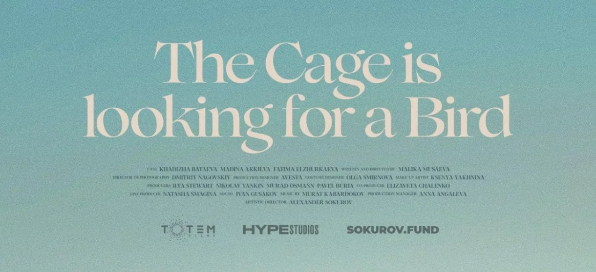 THE CAGE IS LOOKING FOR A BIRD Indi Film Fest