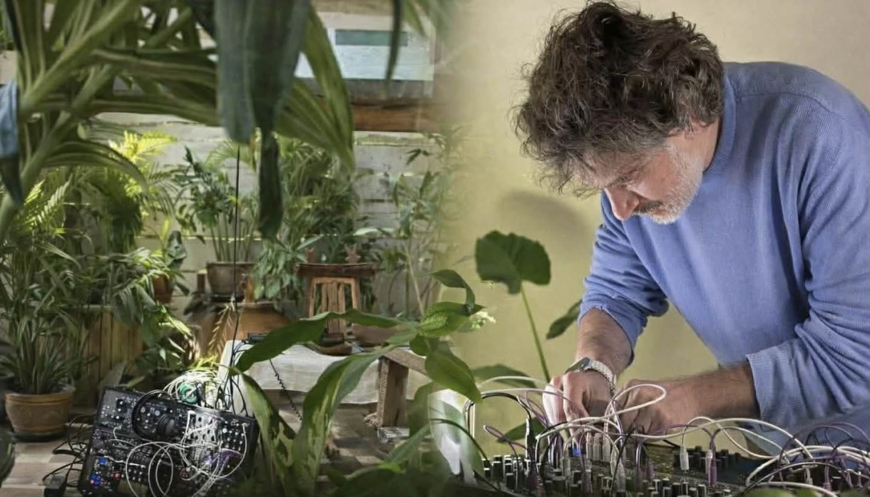 Музыка растений