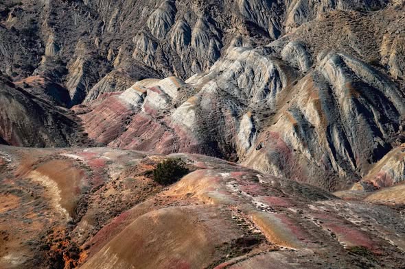 #ОткройКаспи вместе с Geo Megzuri