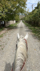 Новый конный тур в Душети (Мцхета-Мтианети) georgian__adventures