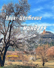 Hike: Almond Blossom