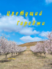 Gareji: Blossom Season Georgia Finder