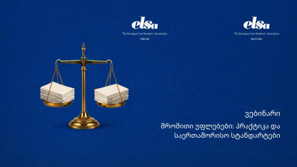 Вебинар: «Трудовые права: практика и международные стандарты»