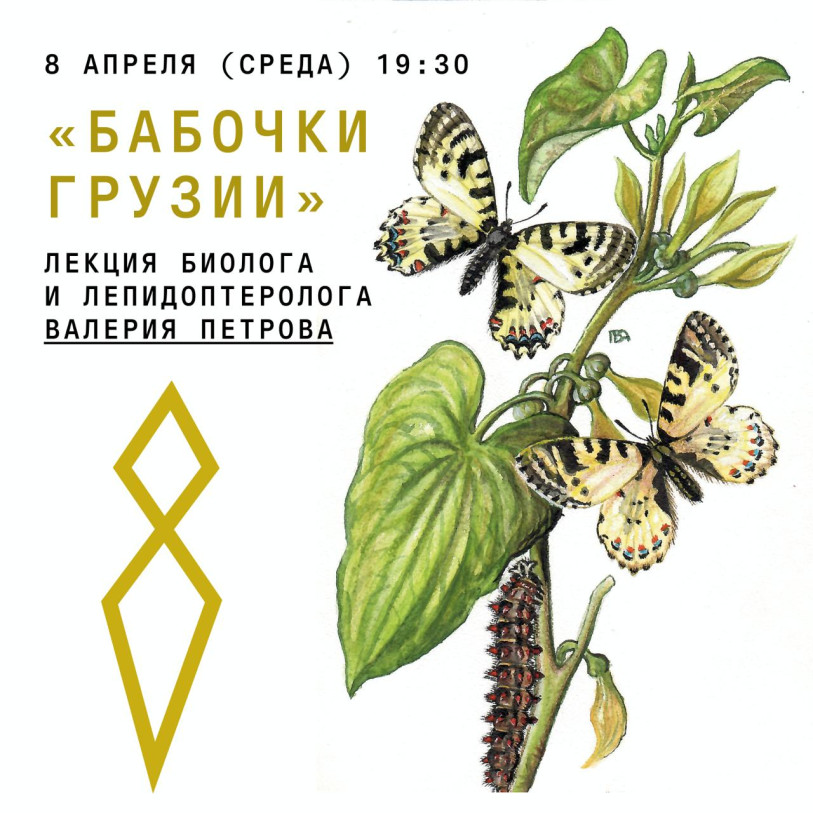 ლექცია „საქართველოს პეპლები“