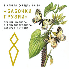 ლექცია „საქართველოს პეპლები“