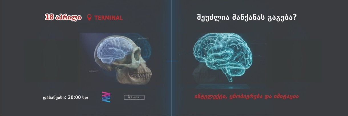 Может ли машина понимать? Интеллект, сознание и имитация