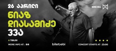 ნიაზ დიასამიძე 33ა