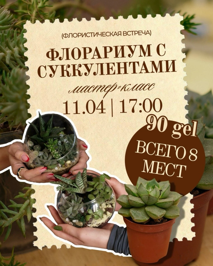 ფლორარიუმი სუკულენტებით