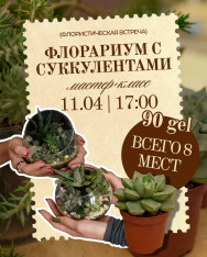 ფლორარიუმი სუკულენტებით