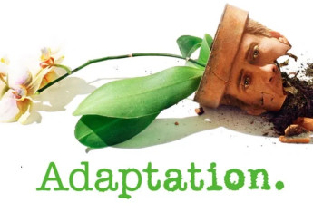 ADAPTATION