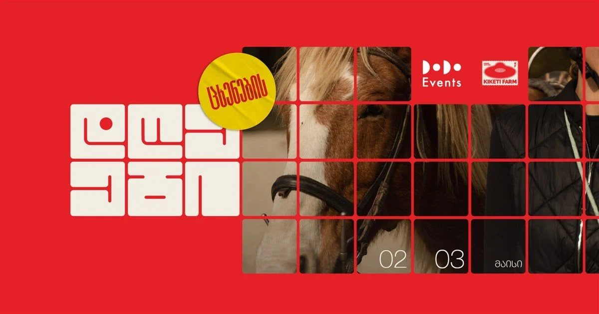კიკეთის ფერმა x Dodo Events