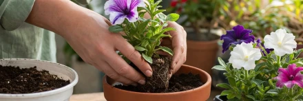 Green Lesson Workshop