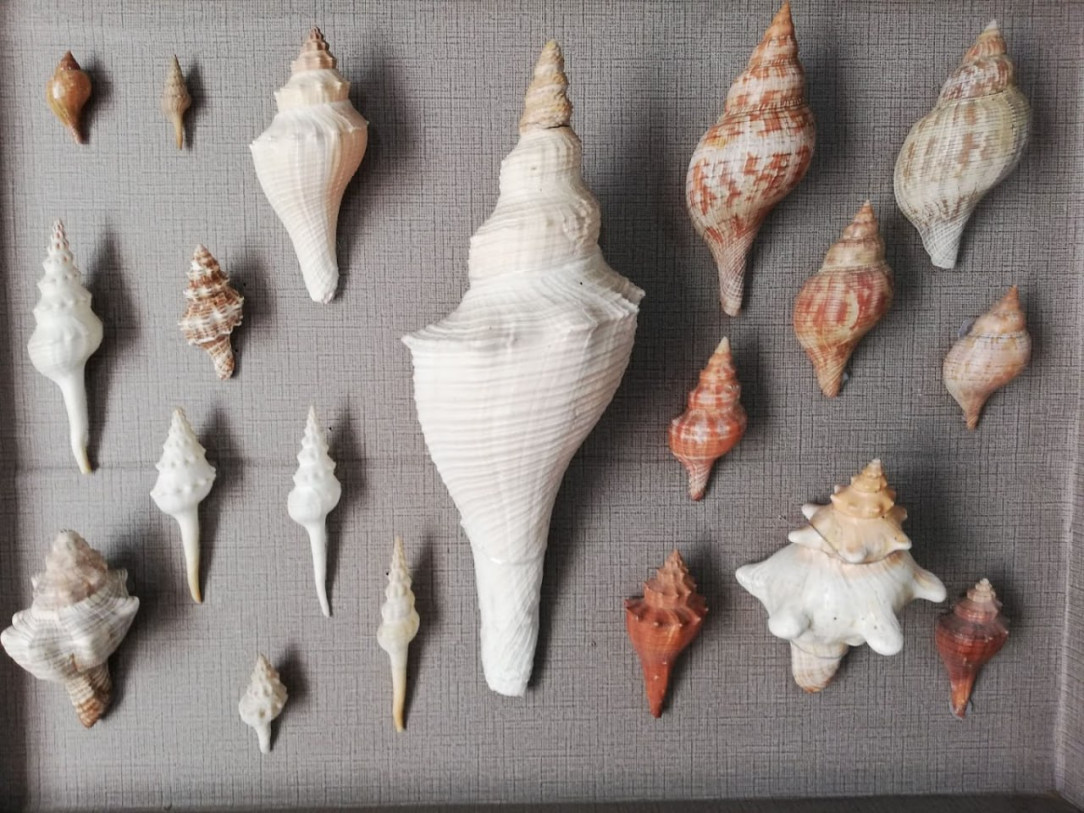 აბრეშუმის მუზეუმი ბიოლოგიის მეცნიერებათა კანდიდატ ზოია გრუშეცკაიასთან ერთად