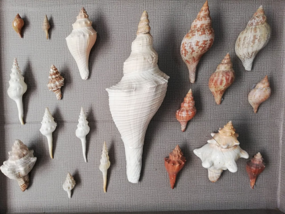 აბრეშუმის მუზეუმი ბიოლოგიის მეცნიერებათა კანდიდატ ზოია გრუშეცკაიასთან ერთად