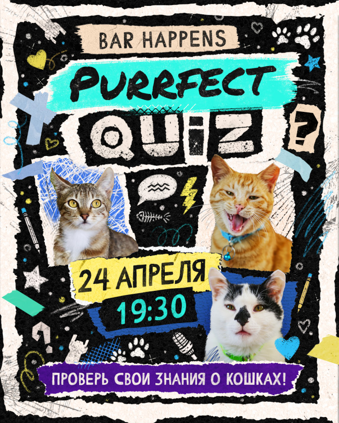 PURRFECT QUIZ–2 by CATEBI