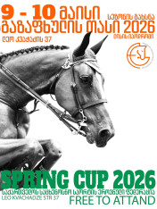 Spring Cup 2026