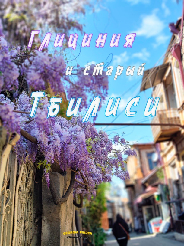 გლიცინია და ძველი თბილისი