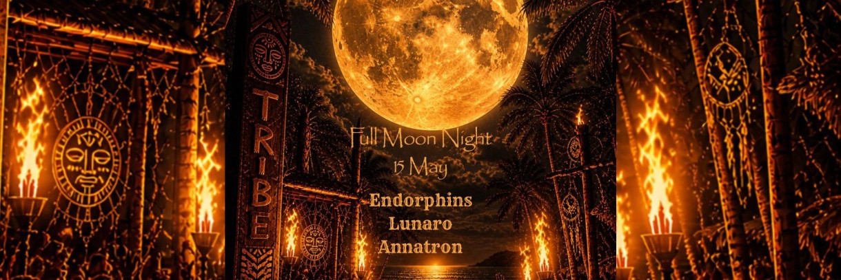 Full Moon Party at Tribe