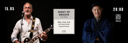 Night of Groove: Blues - Funk - Soul