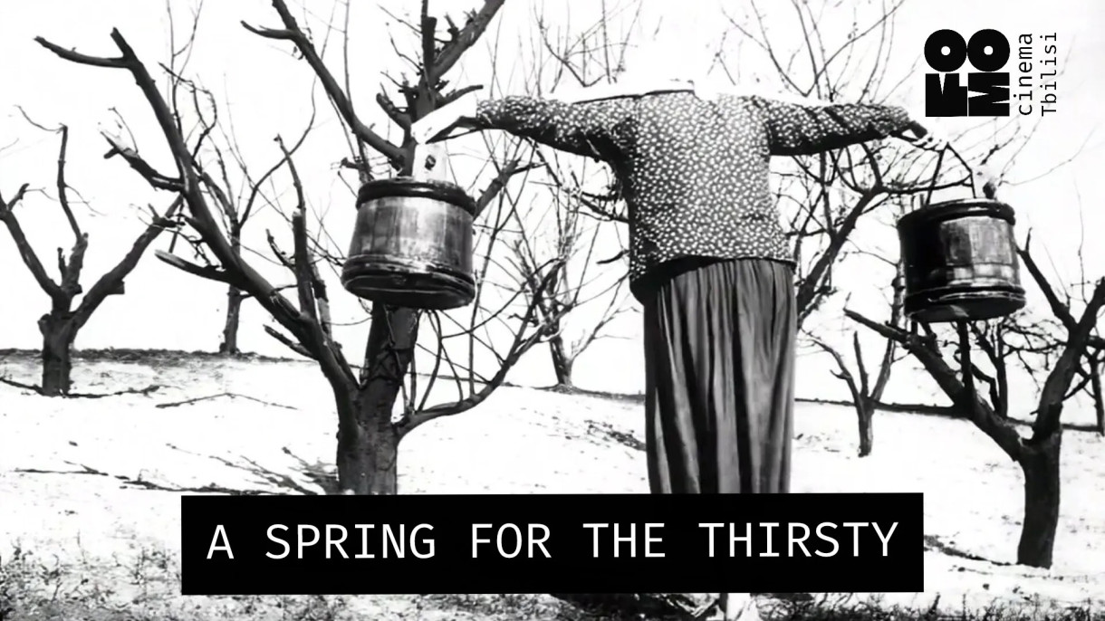 A SPRING FOR THE THIRSTY: Ukrainian Film Week at FOMO Cinema Tbilisi