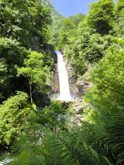 Hike to the Ninoskhevi Waterfall (The Roaring Waterfall) in Lagodekhi National Park