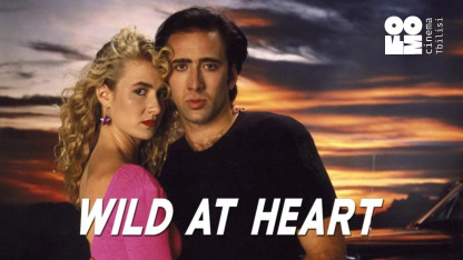 WILD AT HEART