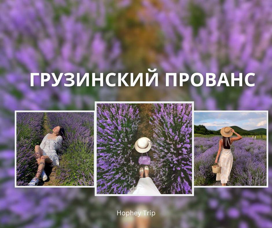 ქართული პროვანსი