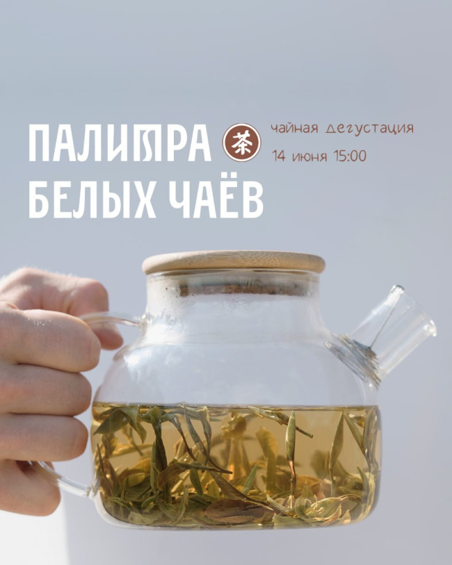 White tea - tasting