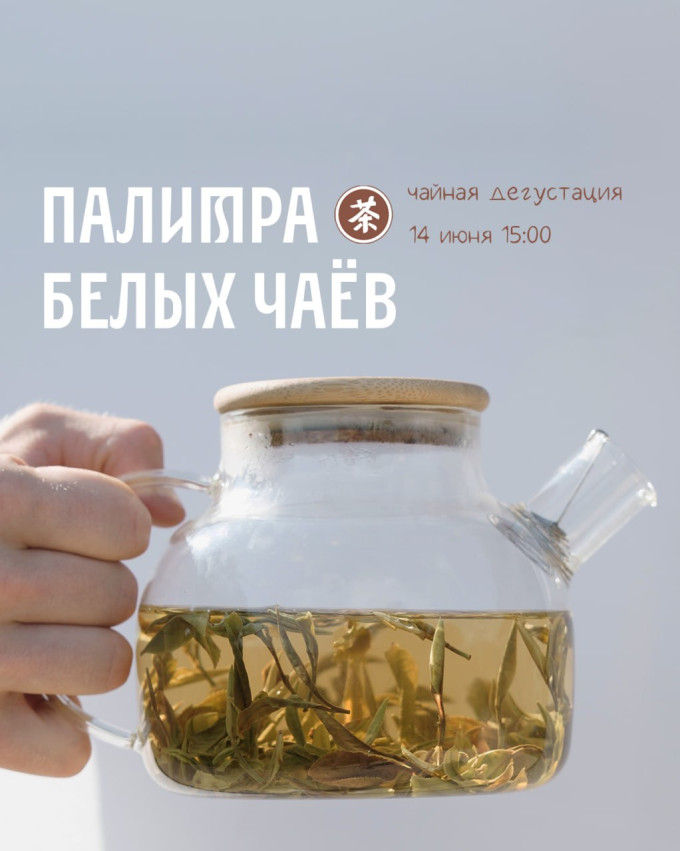 White tea - tasting