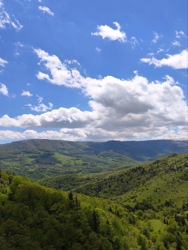 Hike in Algeti National Park