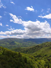 Hike in Algeti National Park