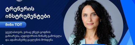 ტრენერის ინსტრუმენტები - მინი TOT | მართვის აკადემია