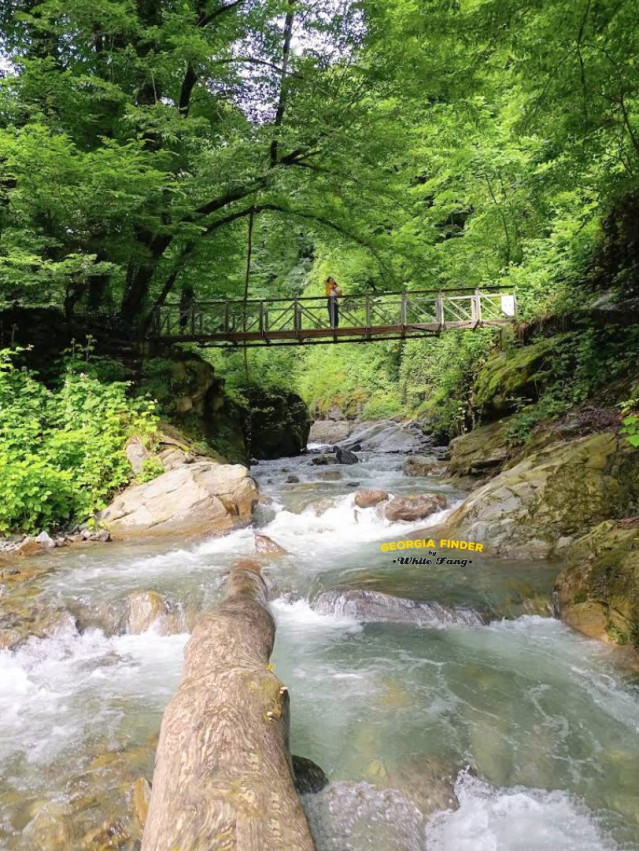 Black Grouse Waterfall Hike