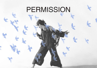 PERMISSION