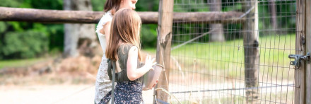 Spend a Day in a Georgian Farm