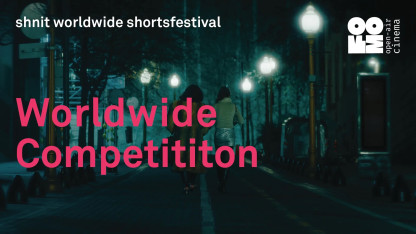 shnit TBILISI 2026: Worldwide Competition - International Short Films - Night 4