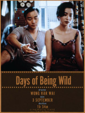 Days of Being Wild