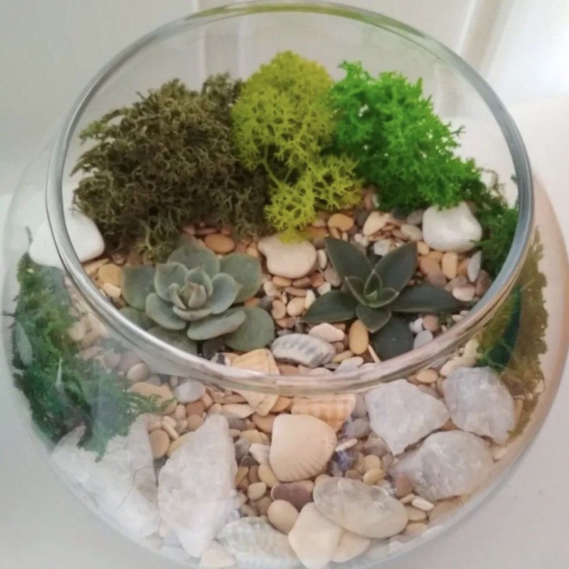 Autumn Glass Florarium